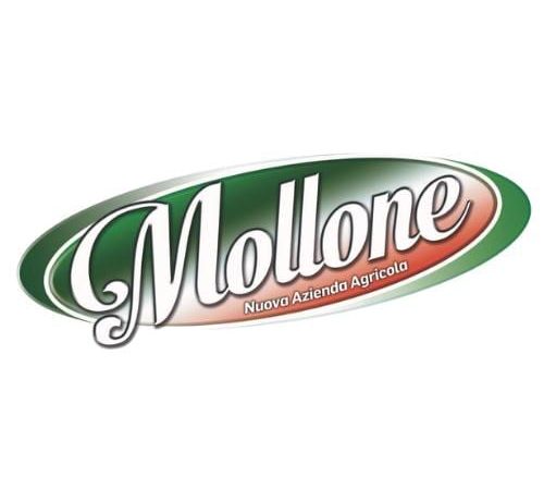 amollone
