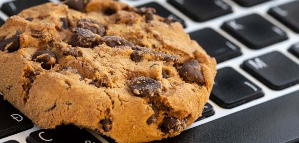 che_cosa_sono_e_a_cosa_servono_i_cookies