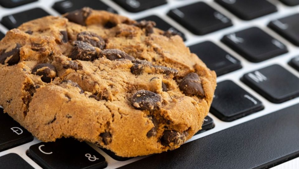 che_cosa_sono_e_a_cosa_servono_i_cookies