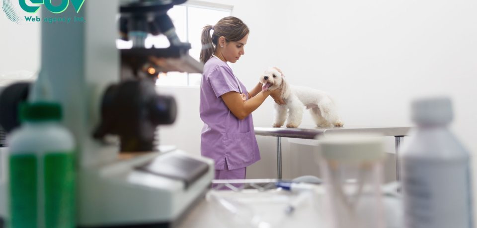 promozione_medica_veterinaria_strategie_per_attrarre_clienti