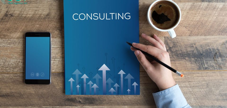 Consulenza_di_digital_marketing_costi_e_considerazioni