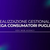 realizzazione gestionale lecce realizzazione_gestionale_lecce