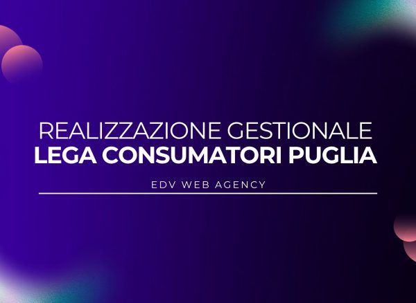 realizzazione_gestionale_lecce