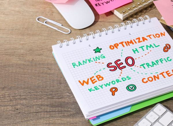 consulente_seo_lecce